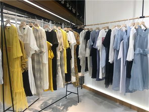 统衣服饰 庆阳品牌女装批发四季供货全解析